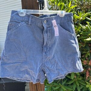 American Eagle Outfitters Light Blue Jean Shorts